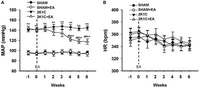 Orexin Receptor-1 in the Rostral Ventrolateral Medulla Mediates the Antihypertensive Effects of Electroacupuncture